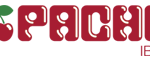 pacha-ibiza-logo-partner