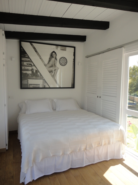 VILLA 303 6 BEDROOMS SAN JOSE IBIZA gallery image 18