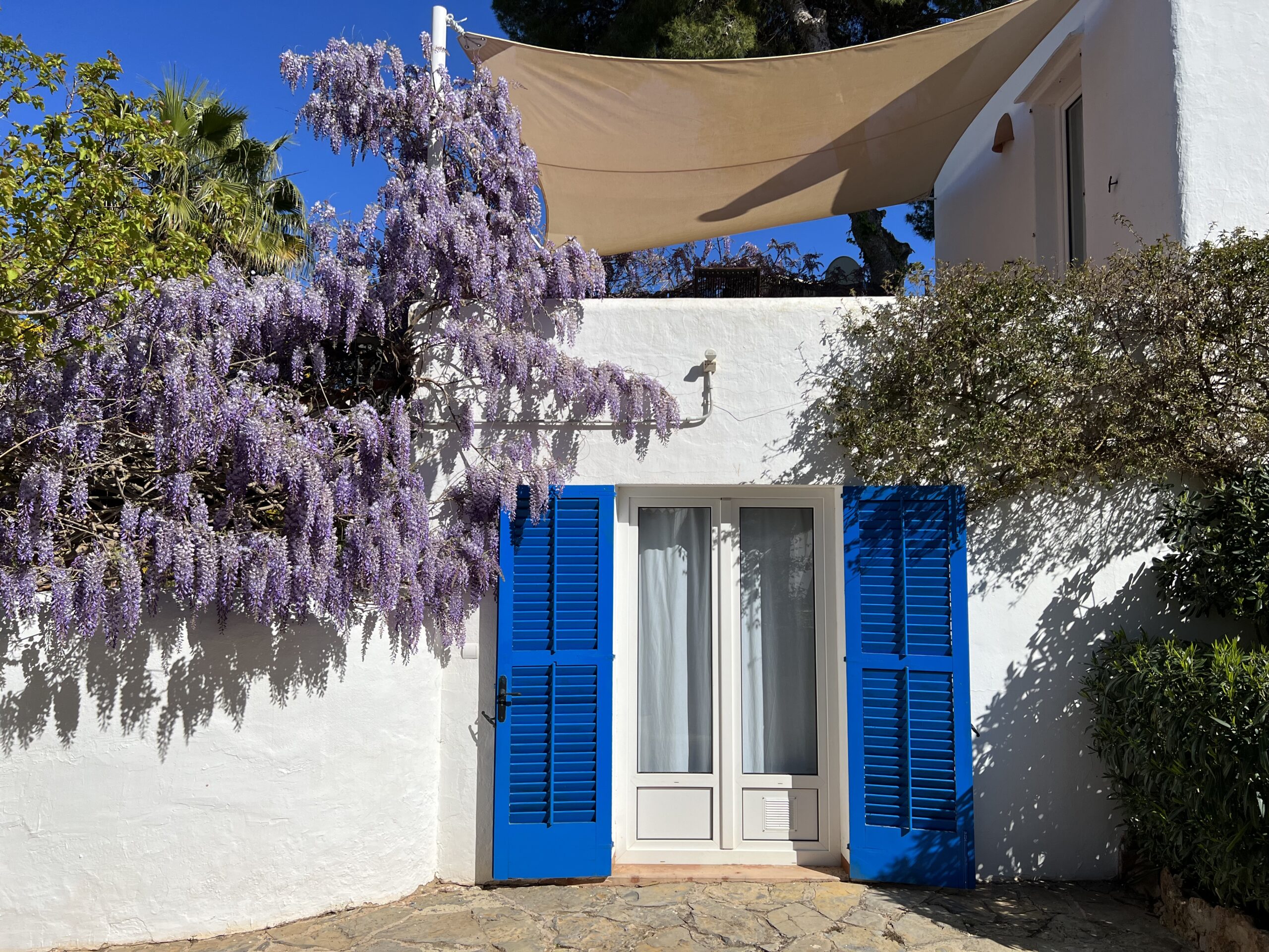 Villa 313  8 BEDROOMS CALA PADA IBIZA gallery image 9