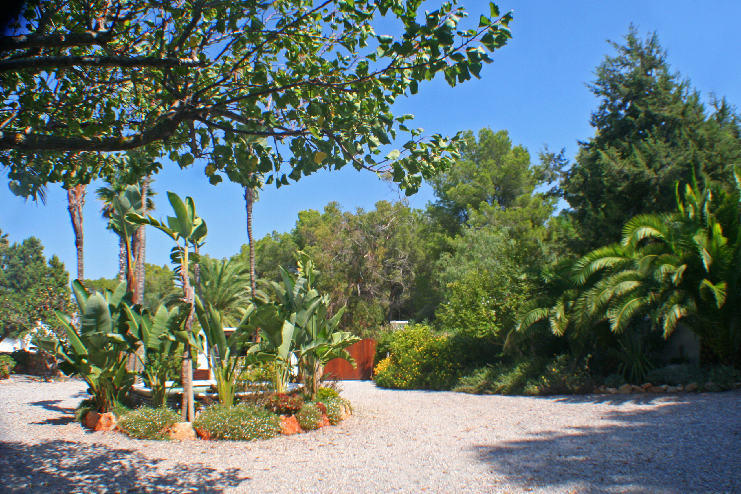 Villa 313  8 BEDROOMS CALA PADA IBIZA gallery image 23