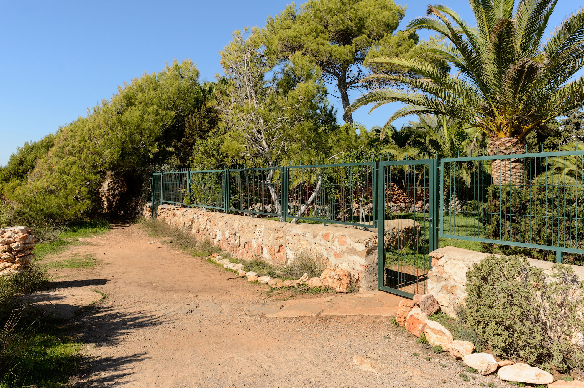 Villa 313  8 BEDROOMS CALA PADA IBIZA gallery image 77
