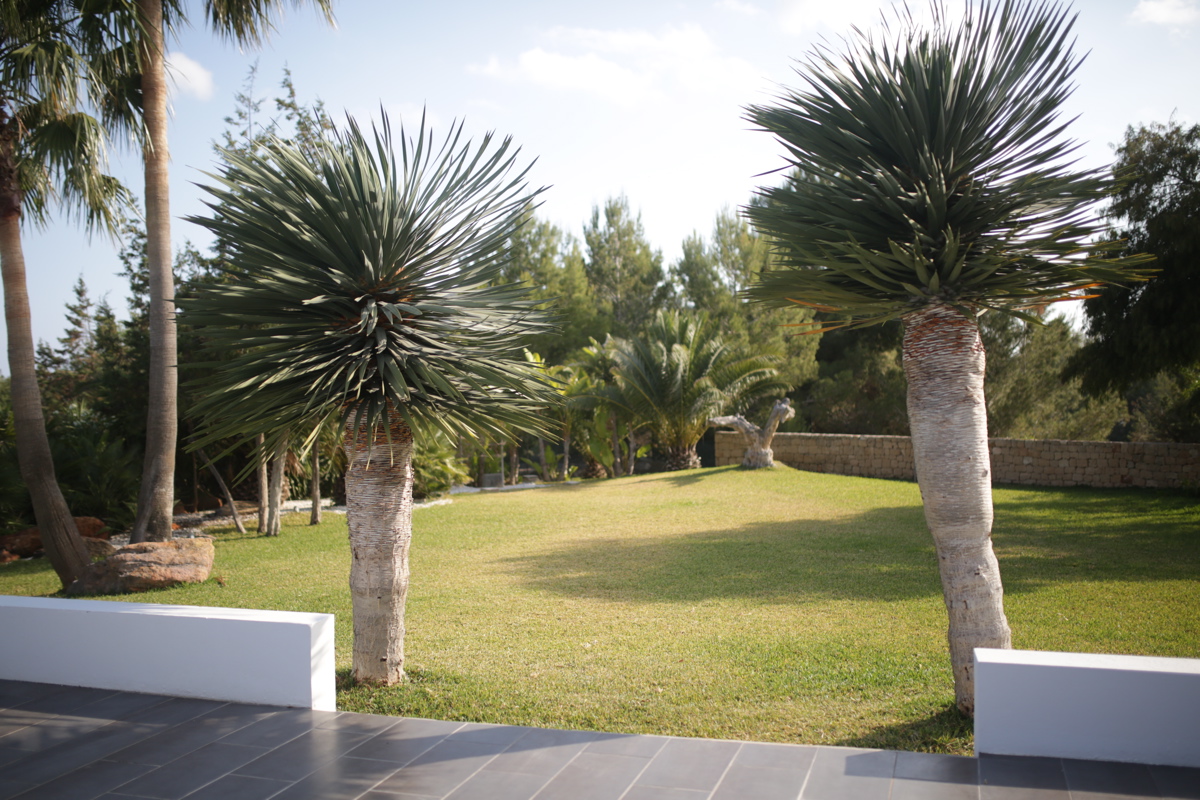 VILLA 303 6 BEDROOMS SAN JOSE IBIZA gallery image 28