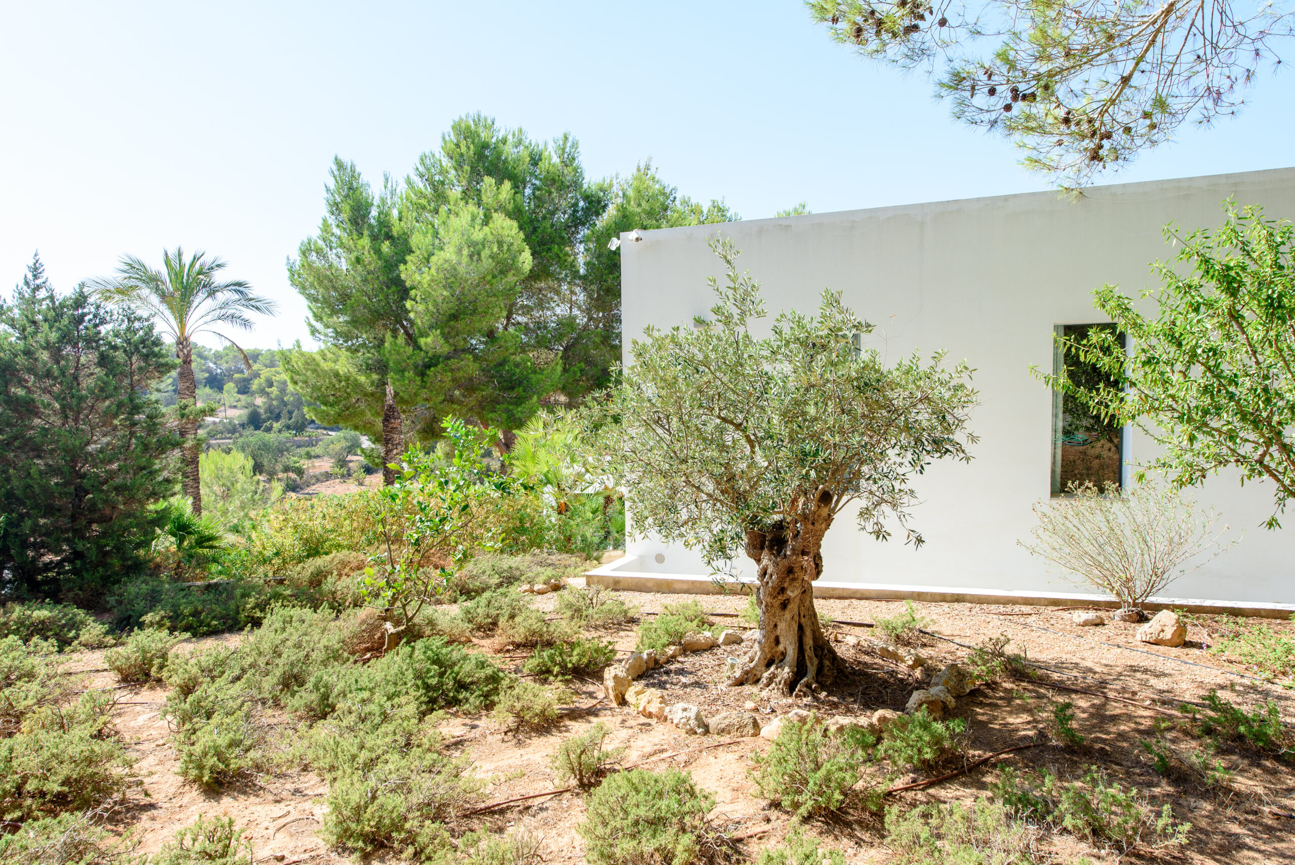VILLA 289 6 BEDROOMS SAN AGUSTIN IBIZA gallery image 36